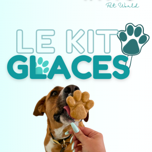 glaces pour chiens KIT DE GLACES KIMO PET