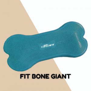 FitBone Giant - Fitpaws